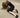 BODY AMPLIFICATION DEVICES (BAD)